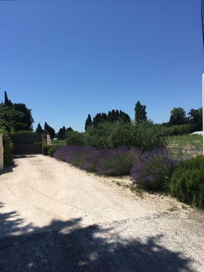 Les 